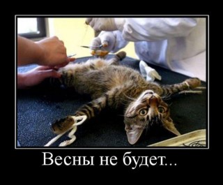 vesna.jpg