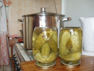 P1010004.JPG