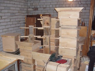 06.jpg