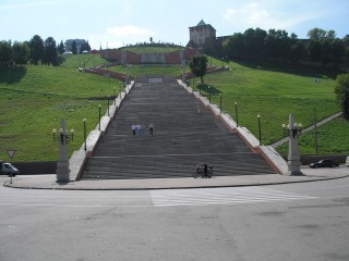 P8020029.jpg