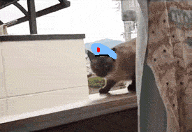 ВДВ.gif