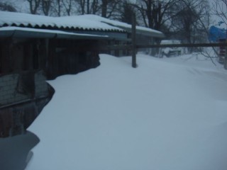 008.JPG