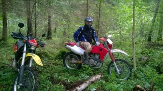 WP_20140831_010_opt.jpg