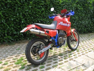dominator60511.jpg