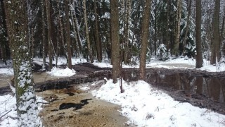 DSC_9168 - Copy.JPG