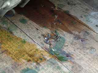 DSCF7473.JPG
