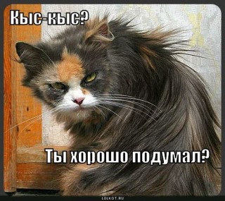 kys-kys_1280978279.jpg