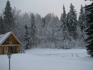 IMG_4773.JPG