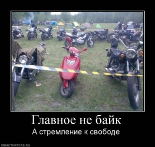kukovodi.jpg