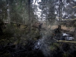 DSC05259_01.JPG